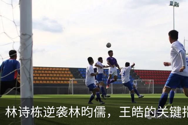 林诗栋逆袭林昀儒，王皓的关键指导不容忽视